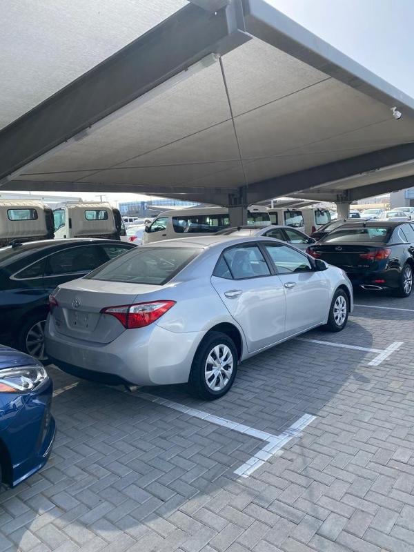 Corolla 2015_ 5 cars at 8000 dirhams