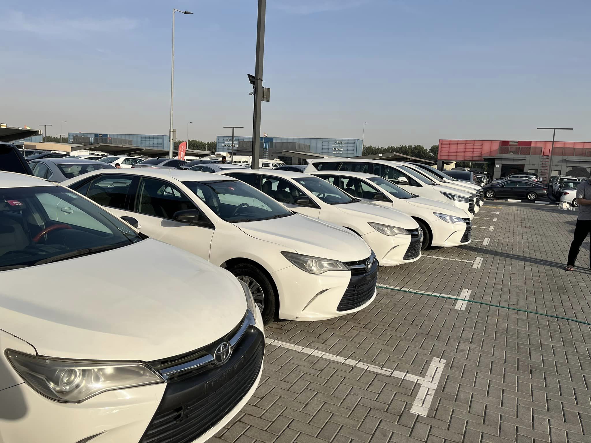 cars sale in QATAR nd all UAE