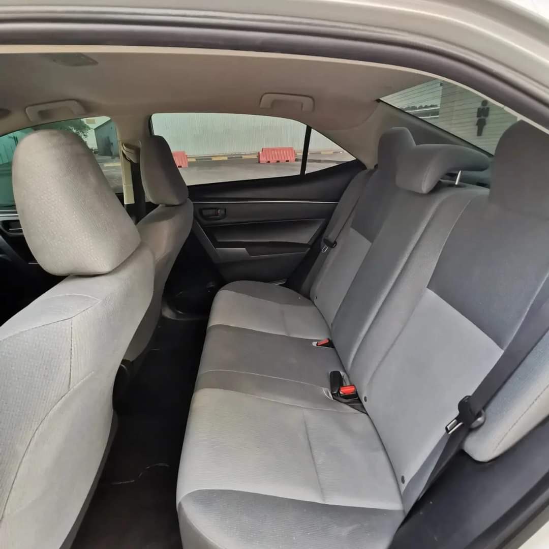 Dependable Daily Driver Within Reach